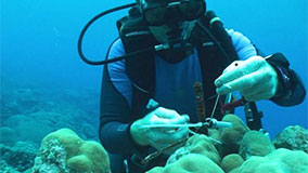 Onset environmental focus on Water Temperatures