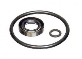 Fluke P5523SK Seal Kit-