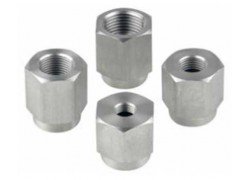 Fluke P5540 Adapter Set for Select Deadweight Testers, Metric-